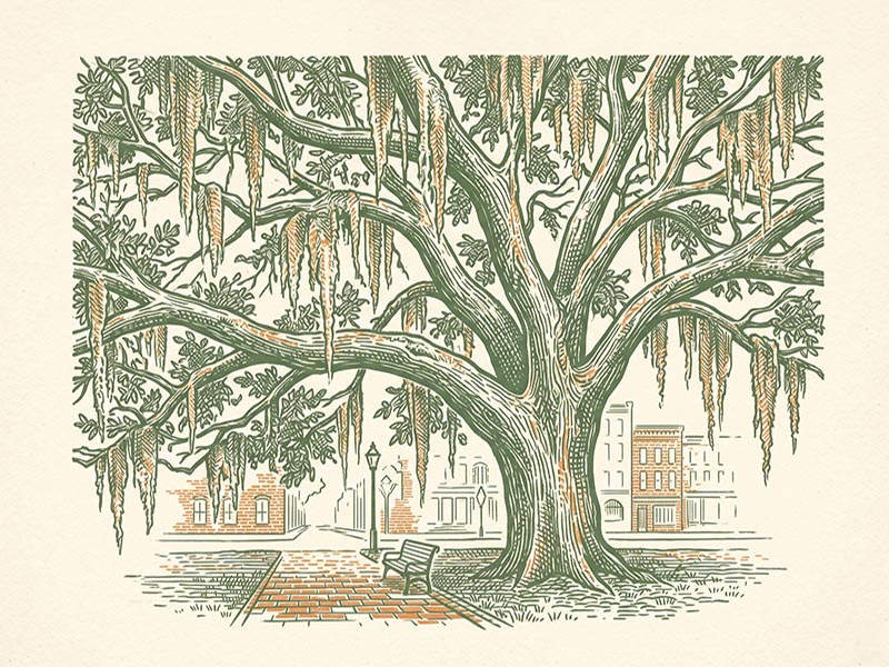Savannah Georgia - RIA 2026